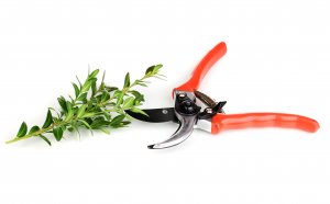 Садовый инвентарь и оборудование